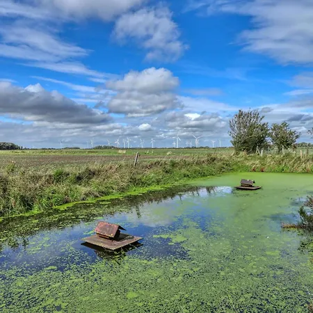Apartament 1 Bedroom Cozy In Galmsbull