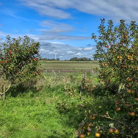 Apartament 1 Bedroom Cozy In