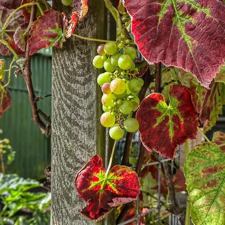 Apartament 1 Bedroom Cozy In Galmsbull