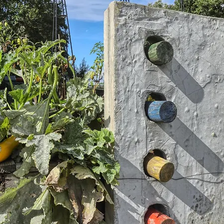 Apartament 1 Bedroom Cozy In *